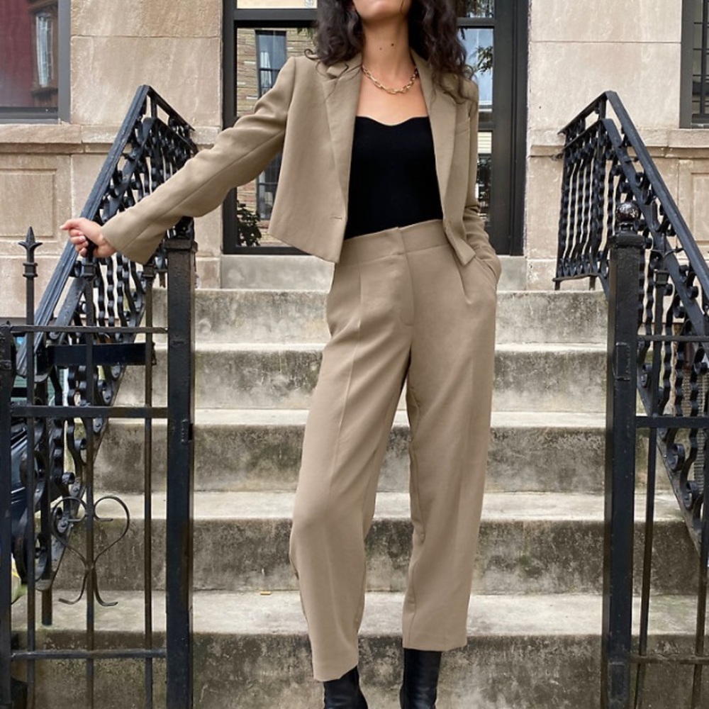 Wilfred Aritzia Nanes Dress Pants size 4